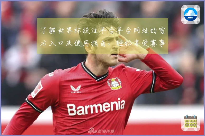 了解世界杯投注平台平台网址的官方入口及使用指南，轻松享受赛事直播体验