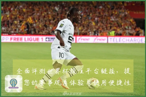 全面评测世界杯投注平台链接，提升您的赛事观看体验与使用便捷性