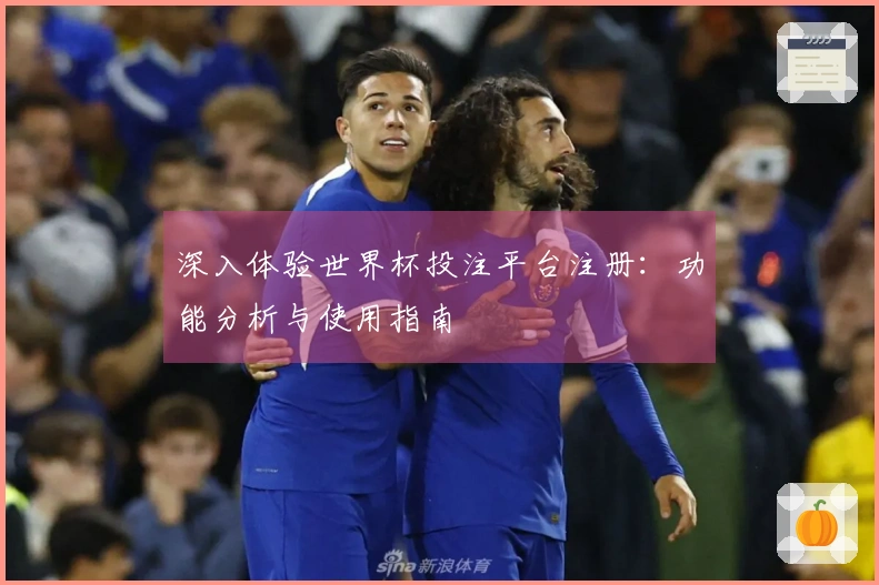 深入体验世界杯投注平台注册：功能分析与使用指南