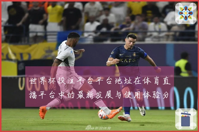 世界杯投注平台平台地址在体育直播平台中的最新发展与使用体验分析