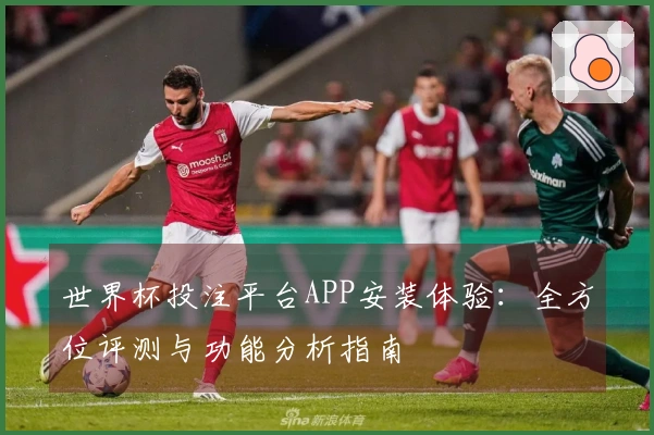 世界杯投注平台APP安装体验：全方位评测与功能分析指南