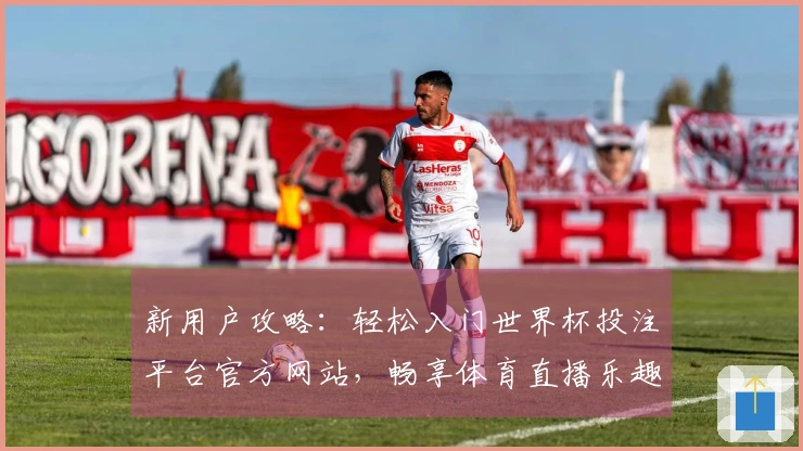 新用户攻略:轻松入门世界杯投注平台官方网站,畅享体育直播乐趣