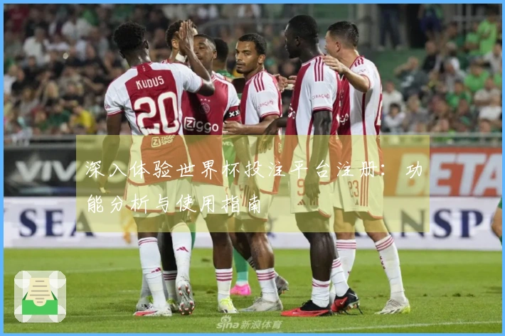 深入体验世界杯投注平台注册:功能分析与使用指南